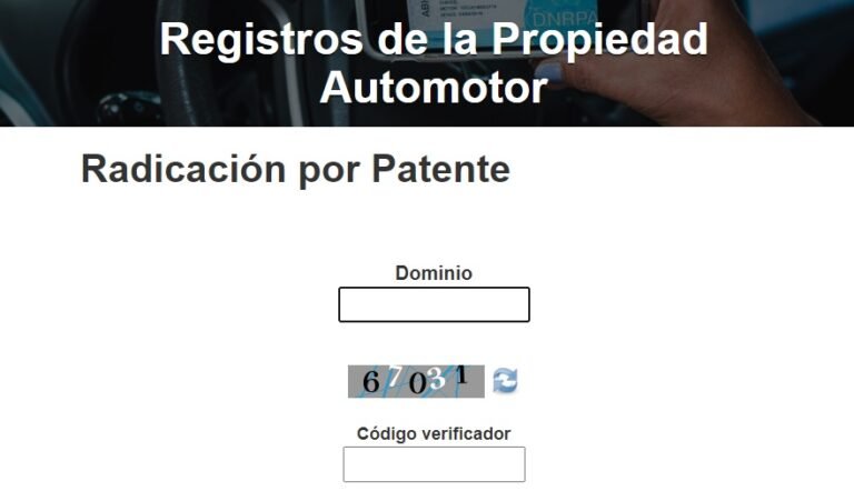 como consultar el titular automotor usando solo la patente
