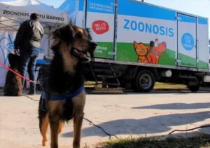 como contactar al centro de zoonosis de san miguel por telefono