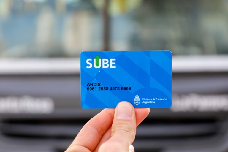 como funciona el plan sube para personas con discapacidad en argentina