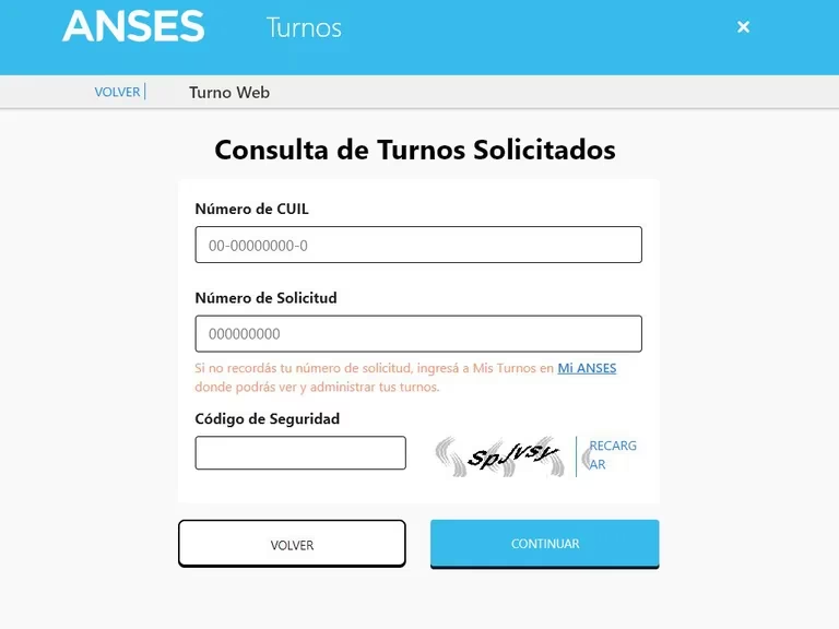 como puedo sacar un turno para hacer una consulta en anses