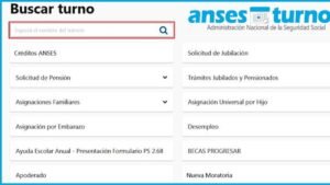 como sacar turno para asignacion por hijo en anses