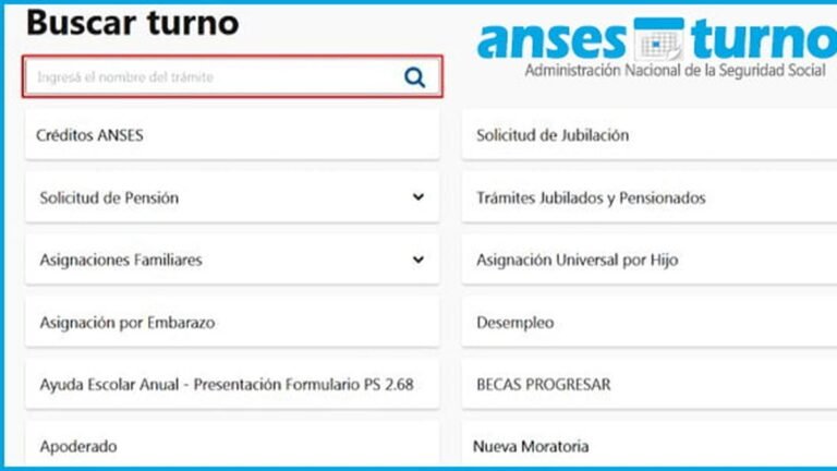 como sacar turno para asignacion por hijo en anses