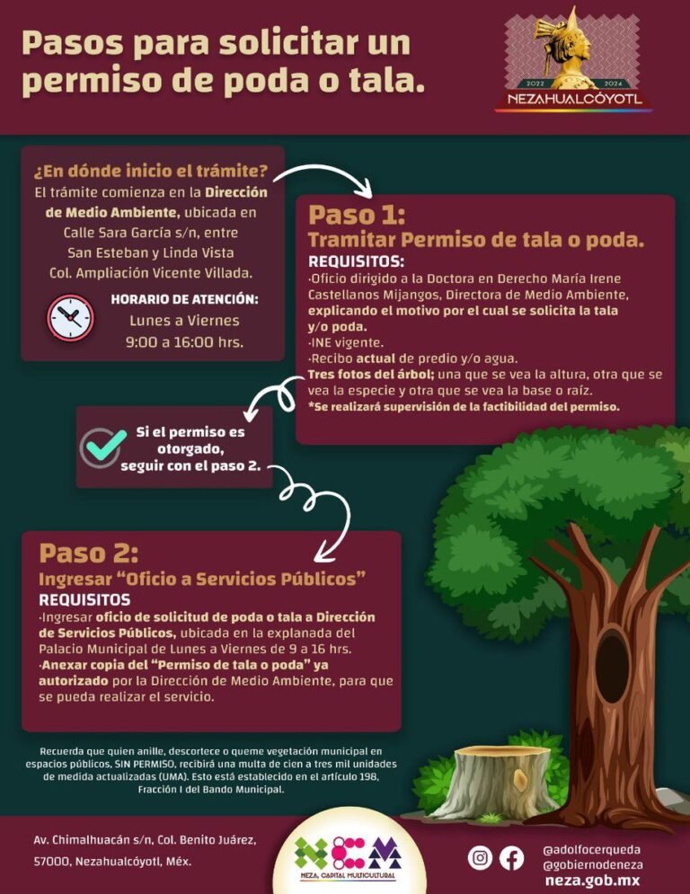 como solicitar la poda de arboles en tu ciudad de forma facil