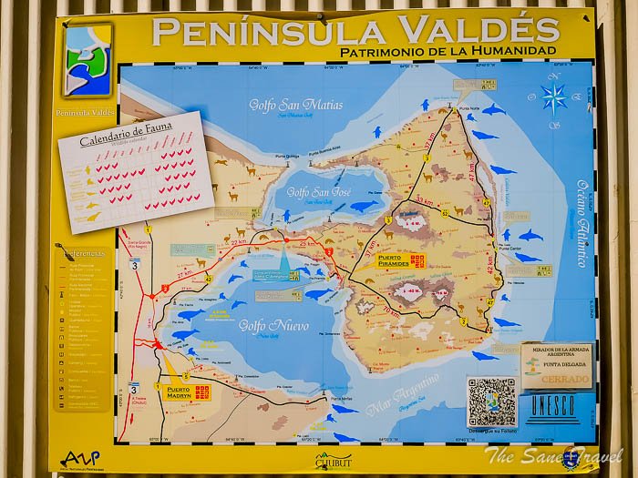 como usar google maps para explorar puerto madryn y sus atracciones