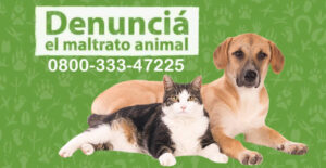 cual es el numero para denunciar maltrato animal en argentina