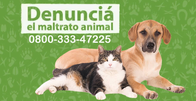 cual es el numero para denunciar maltrato animal en argentina