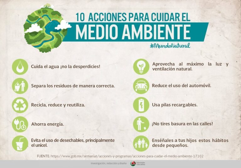 cuales son las acciones clave para el cuidado del medio ambiente