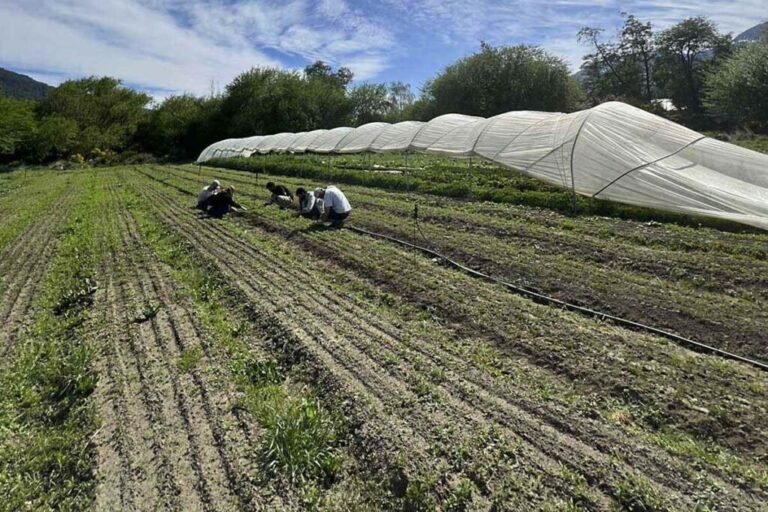 Cuáles Son Las Medidas Mínimas Para Subdividir Un Terreno En Argentina