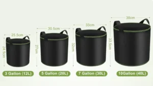 cuanto trae una bolsa de papa y como elegir la mejor