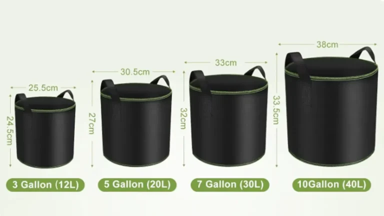 cuanto trae una bolsa de papa y como elegir la mejor