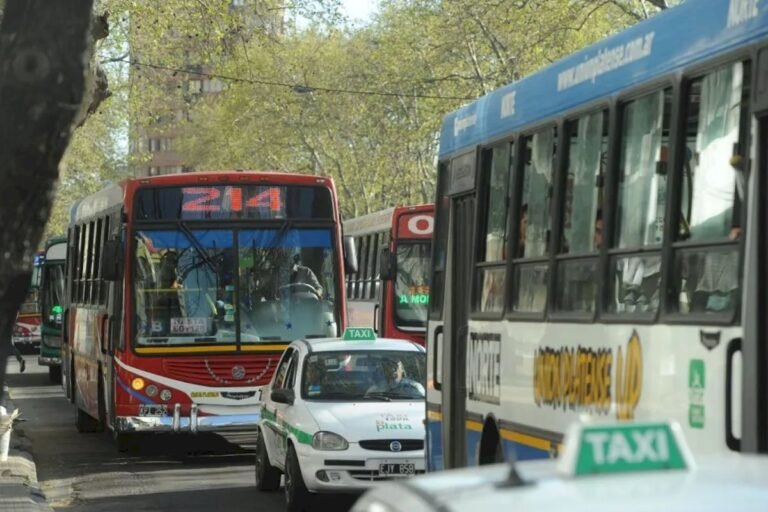 Habrá paro de colectivos el domingo en tu ciudad