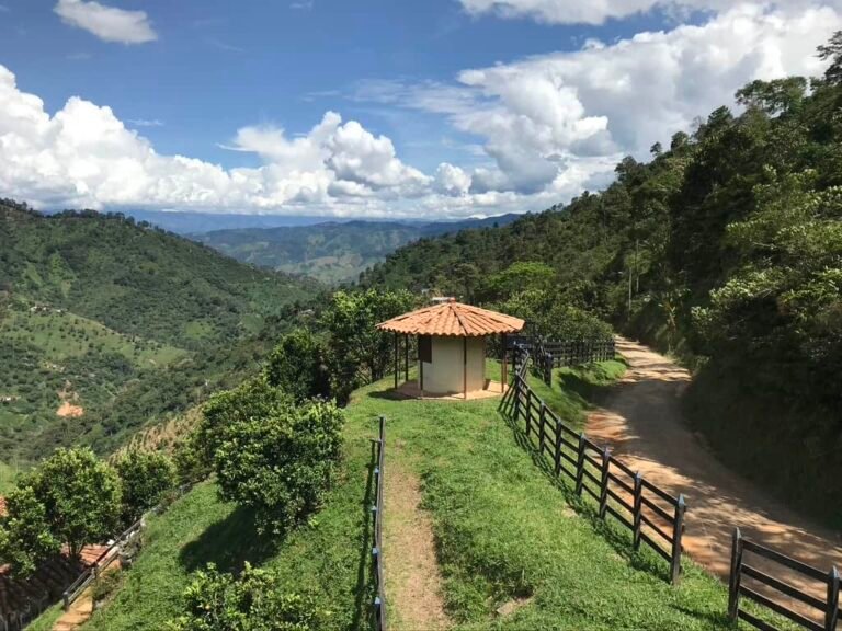 que es la ruta del cafe y donde se puede recorrer en argentina
