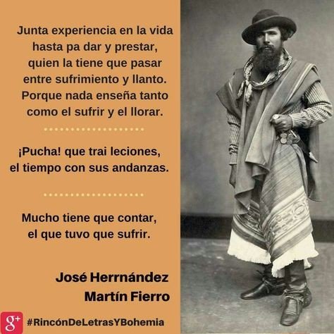 que frases de martin fierro reflejan ensenanzas sobre la vida