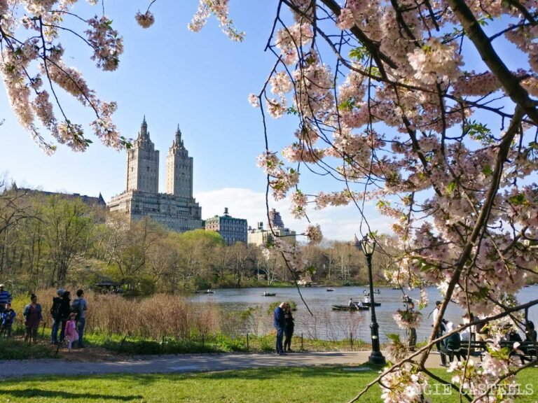 que hacer en nueva york en abril para disfrutar al maximo