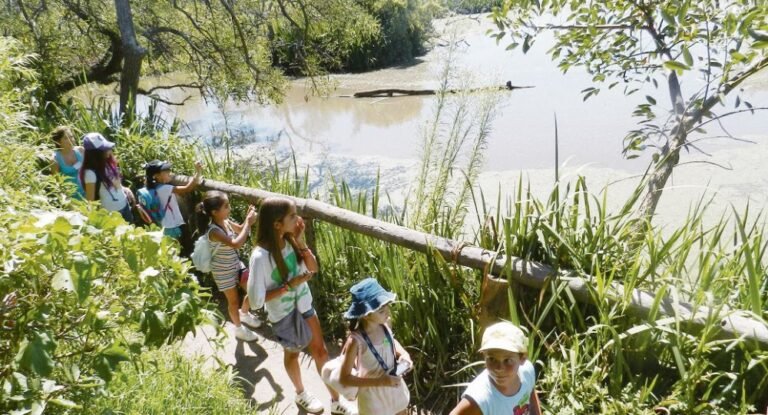 que hacer en zona norte actividades y destinos recomendados