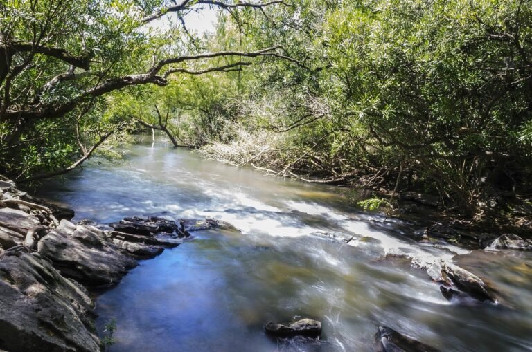 que lugares no te podes perder al visitar colon entre rios