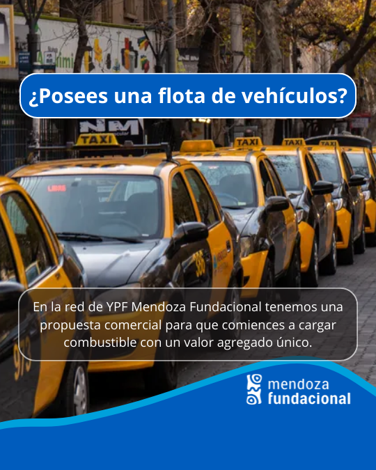 que servicios de trafico disponibles en mendoza pueden ayudar a tu negocio