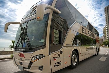 que servicios ofrece transporte el aguila de junin srl en argentina